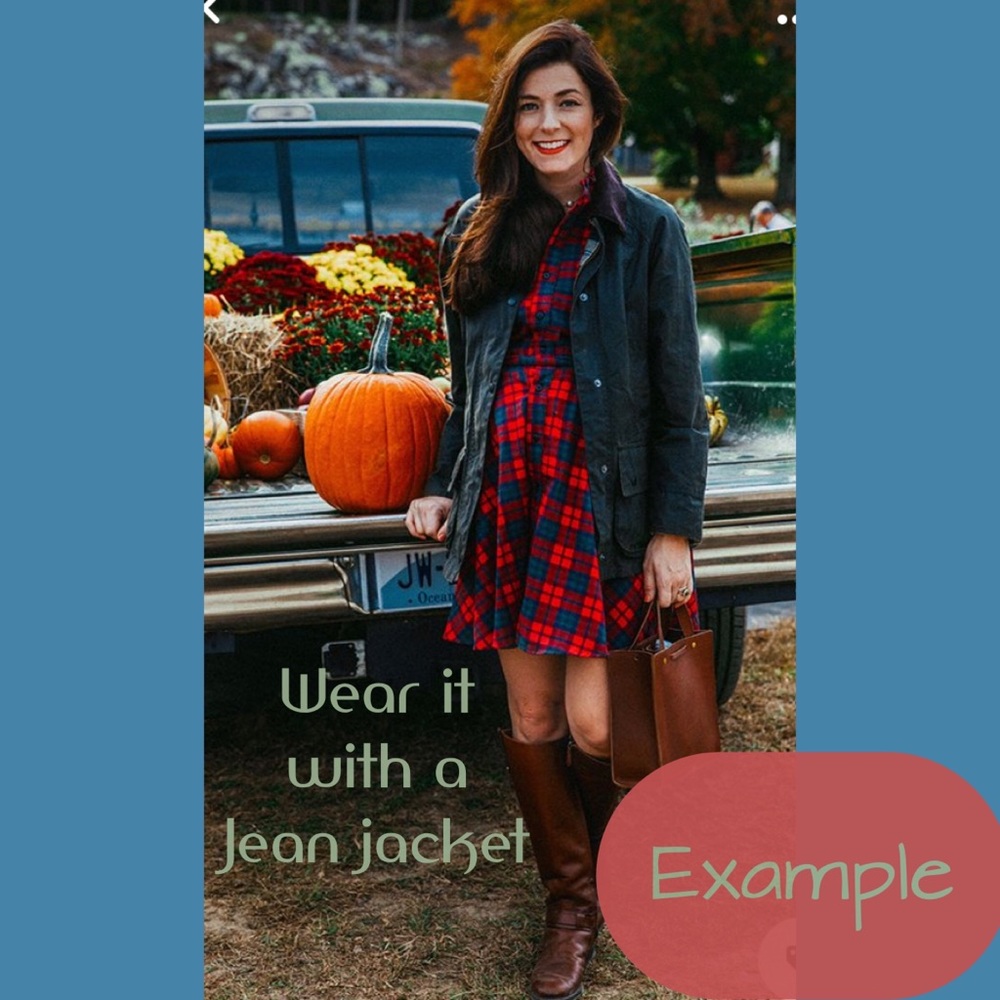 Plaid blue flannel  dress. Country club dress